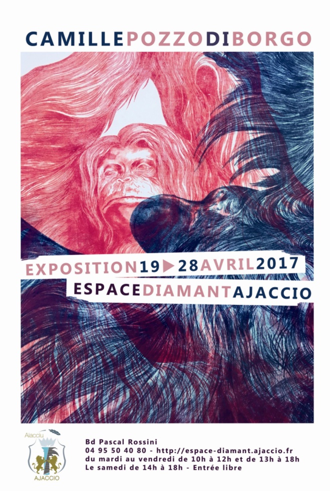 EXPOSiTION : Camille Pozzo di Borgo EXPOSiTION : Camille Pozzo di Borgo