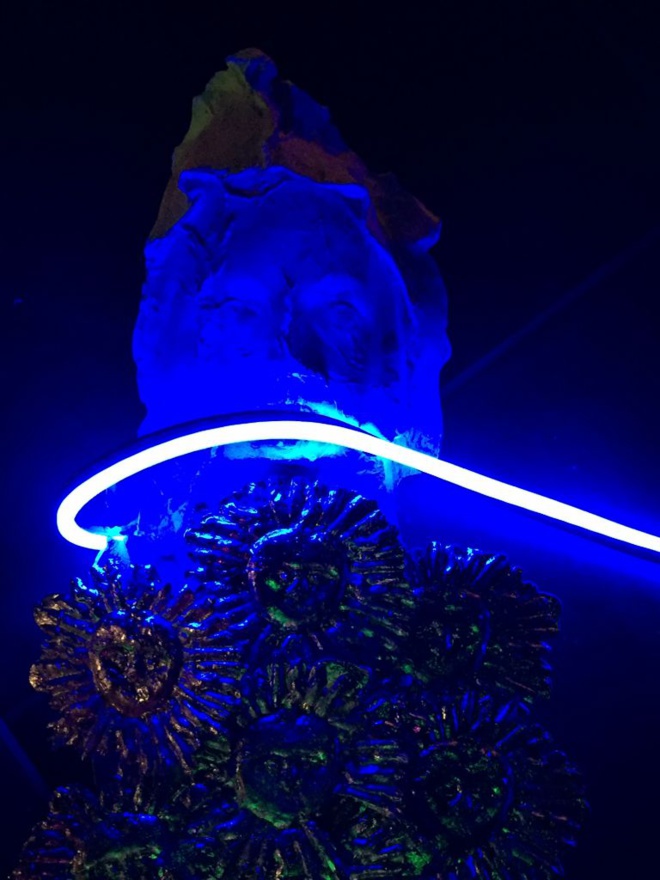 Exposition : Parabole du semeur / Jean-Baptiste Janisset Exposition : Parabole du semeur / Jean-Baptiste Janisset