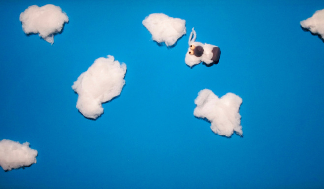 Jeune Public / Le Loup qui voulait être un mouton Jeune Public / Le Loup qui voulait être un mouton