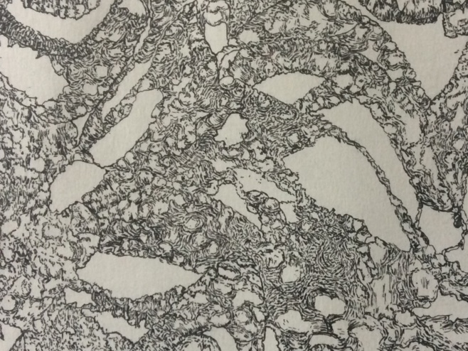 Exposition / Alexandra Villani Exposition / Alexandra Villani