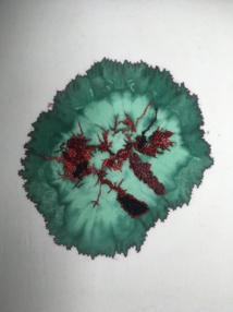 Exposition / Nathalie lescop Exposition / Nathalie lescop