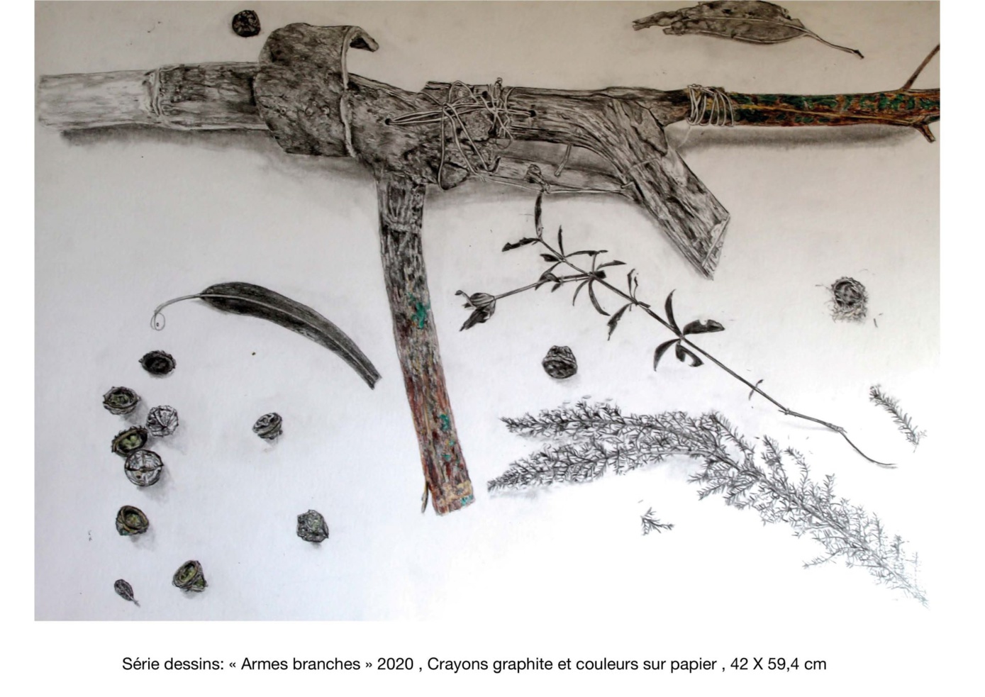 Exposition : Les îles du Milieu Exposition : Les îles du Milieu