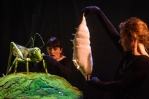 Copie de 20/05 Nuisibles Copie de 20/05 Nuisibles