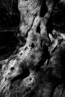 Copie de Milelli Exposition – Photographies / Max Ristori Copie de Milelli Exposition – Photographies / Max Ristori