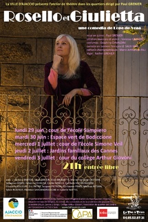 Théâtre dans les Quartiers, les représentations