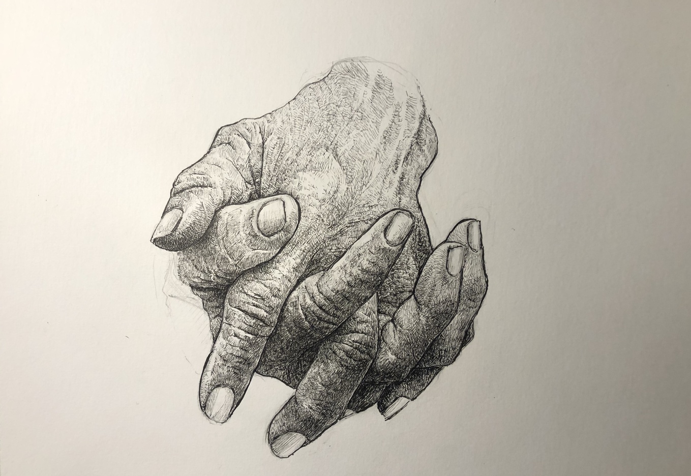 Paul Filippi