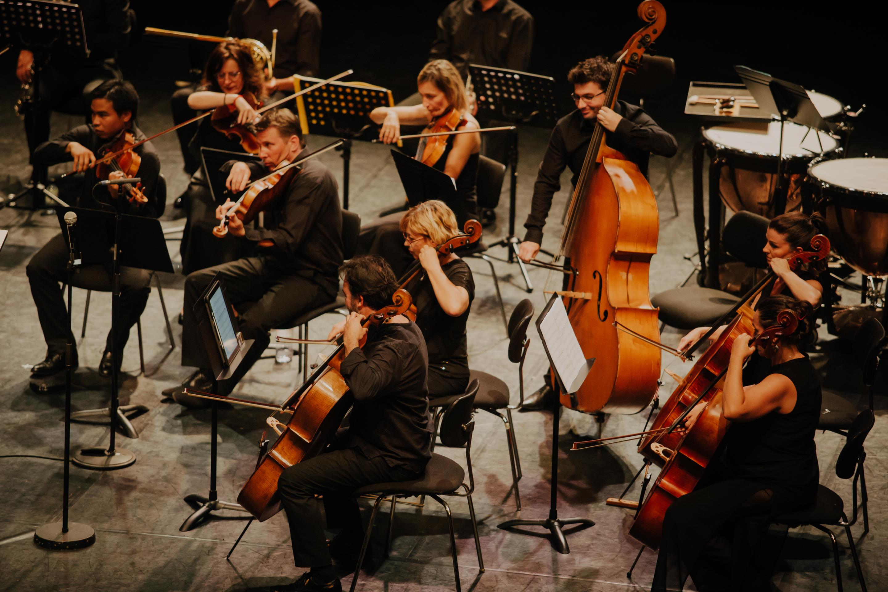 Ensemble instrumental de Corse / Soirée Beethoven