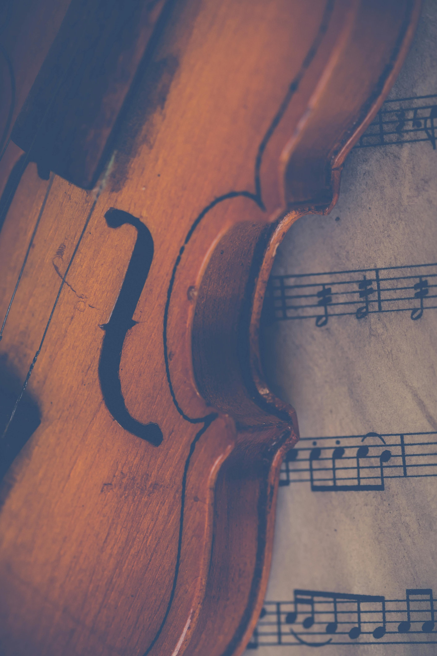 Rencontres Musicales de Méditerranée - Quatuor à cordes du Conservatoire Luigi Boccherini de Lucca à la Cathédrale d'Ajaccio