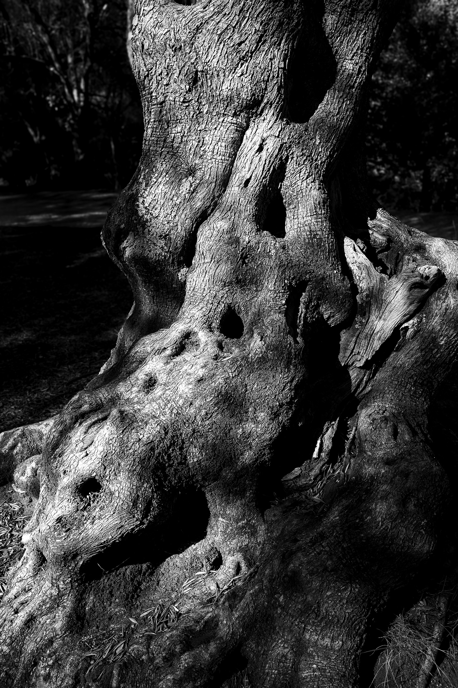 Milelli Exposition – Photographies / Max Ristori