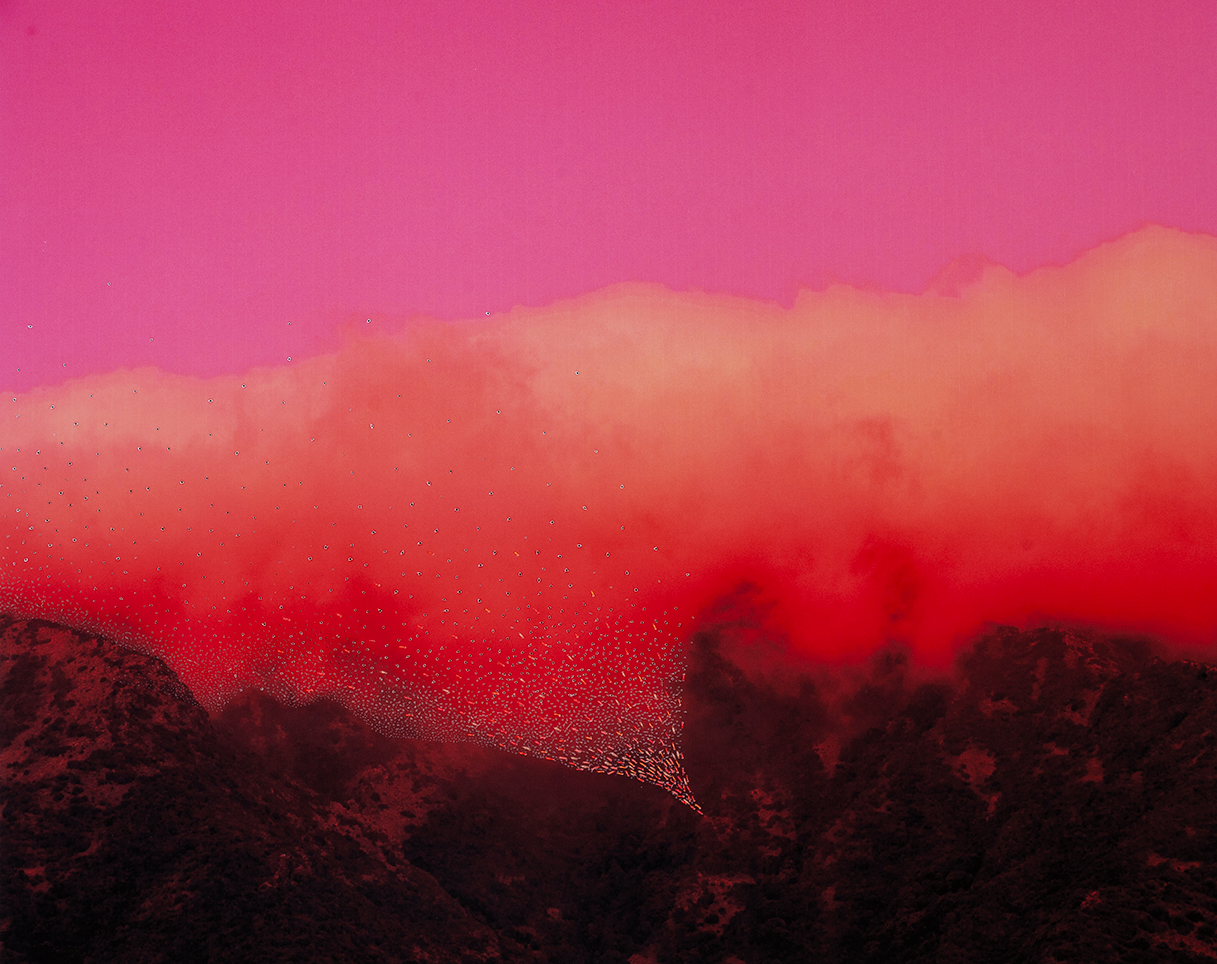 EXPO : "PARCE QUE CETTE VIE-LÀ DEMANDE TOUJOURS PLUS DE LUMIÈRE" / SABATINA LECCIA