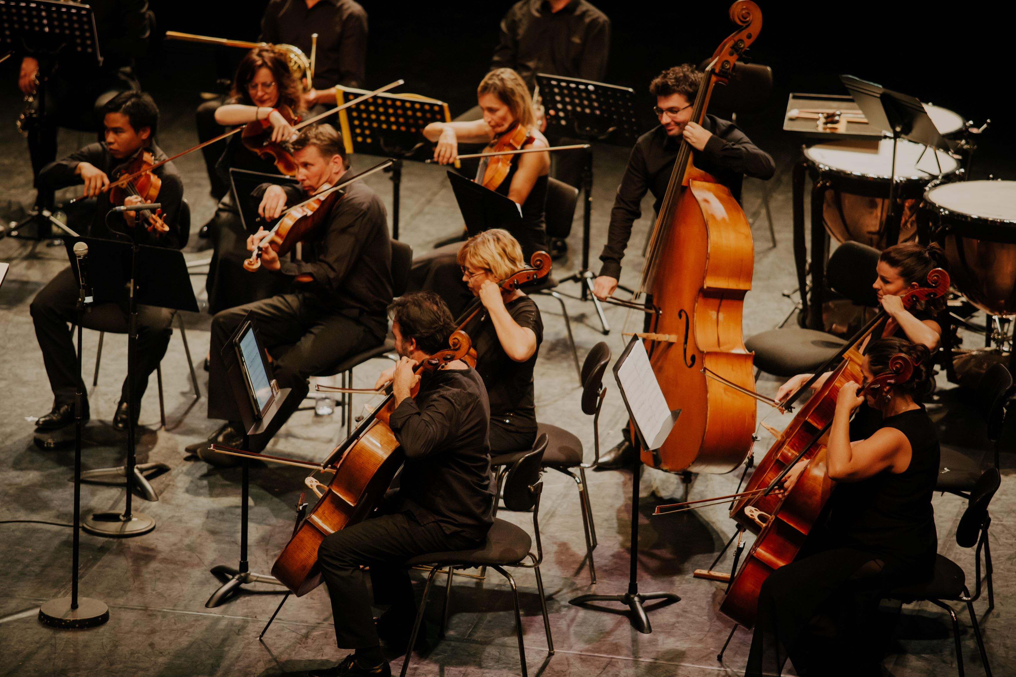 26 NOV. : ENSEMBLE INSTRUMENTAL DE CORSE : CONCERT MOIZART