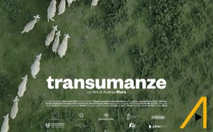 Transumanze, un film en partenariat avec Allindì