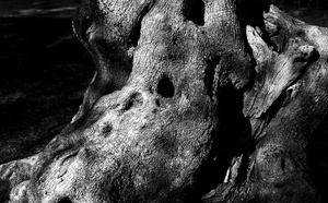 Milelli Exposition – Photographies / Max Ristori