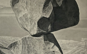 Exposition au Palais Fesch : João Vilhena « Predizione Perdizione »