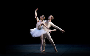  Danse : Secrets du Ballet