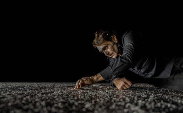 Théâtre - le Terrier