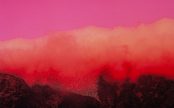 EXPO : "PARCE QUE CETTE VIE-LÀ DEMANDE TOUJOURS PLUS DE LUMIÈRE" / SABATINA LECCIA