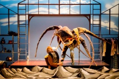 LES VOYAGES FANTASTIQUES (c)Photo Sylvain BERNARD (9)