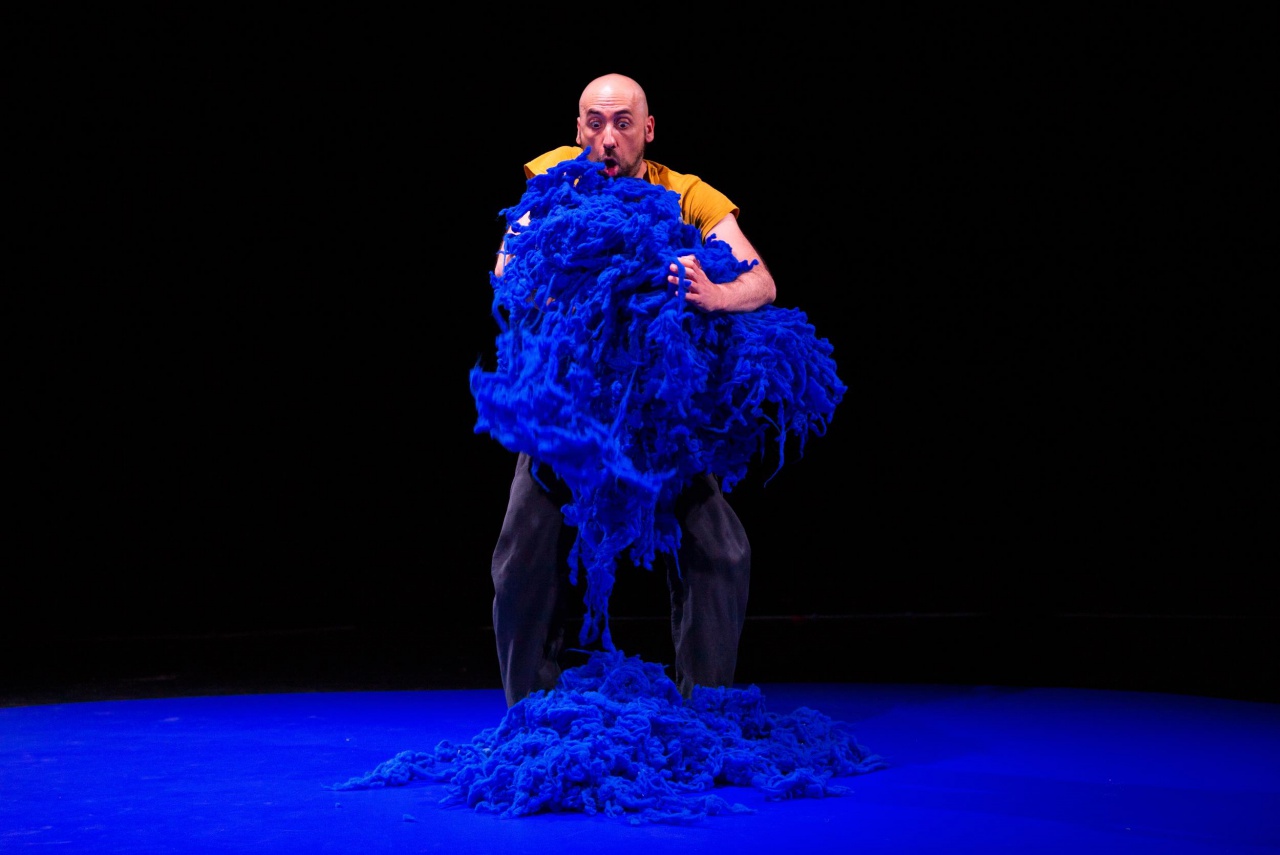 A QUI MIEUX MIEUX © Céline Diez 10 (2)